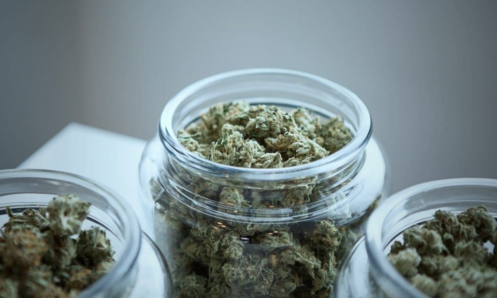 California Bill To Delay Marijuana Tax Hike Is Set To Get A Vote On Assembly Floor This Week