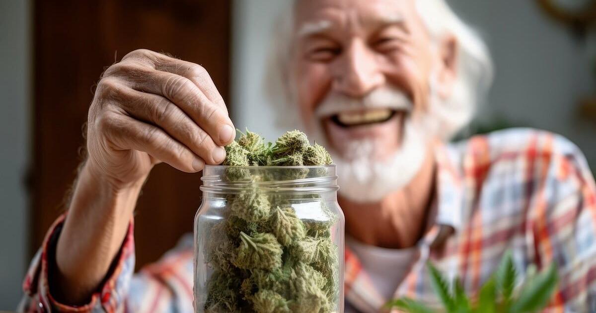 More Seniors Are Regular Weed Users | Health