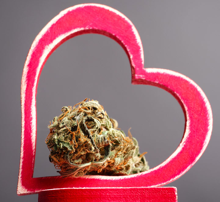 Does Weed Damage Your Heart? - Why a 55-Person Study Shouldn&#039;t Panic Millions of Cannabis Users