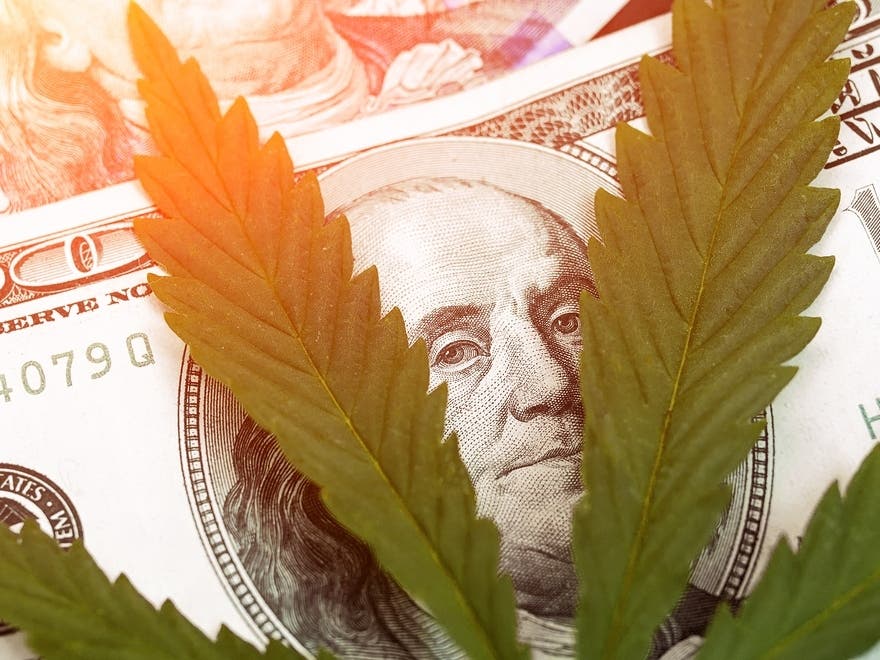 Biz Growing At Danbury Cannabis Shop, Now Under New Management