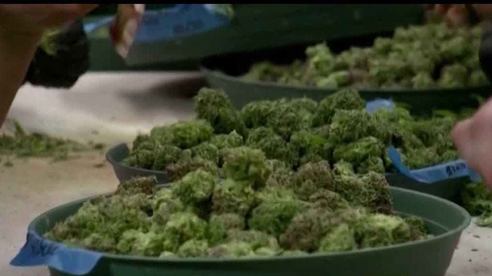 Initial Medical Cannabis Commission meeting set for June 9