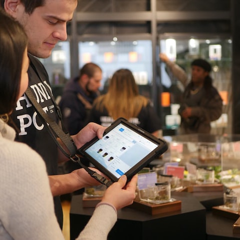 How a Canny Bank Is Making Its Mark In Cannabis Payments – Digital Transactions