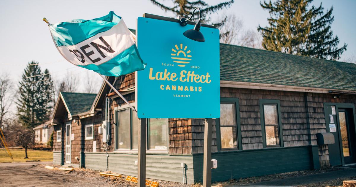 From Dairy to Cannabis: South Hero farmers blaze a new trail with Sunset Lake | GreenMountain Vermont Cannabis News