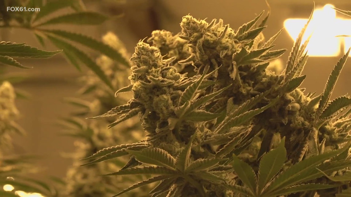 Connecticut strengthens enforcement against illegal sales of THC and tobacco
