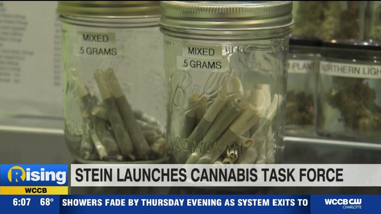 Gov. Josh Stein launches cannabis task force