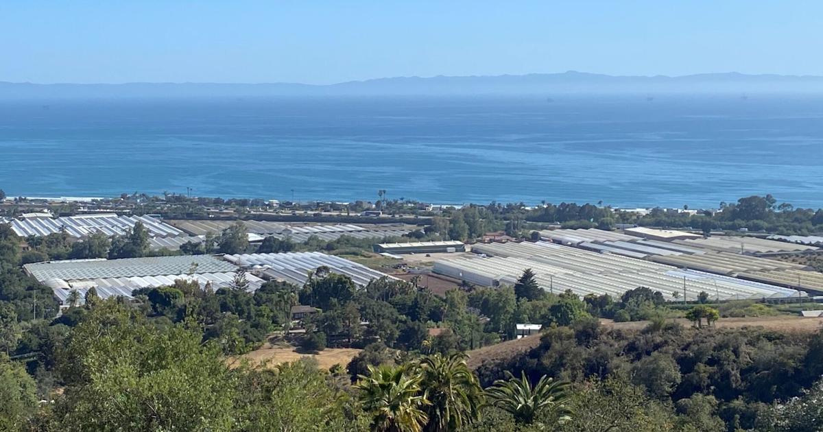 County supervisors cut $1.4M in cannabis-related costs | Government and Politics