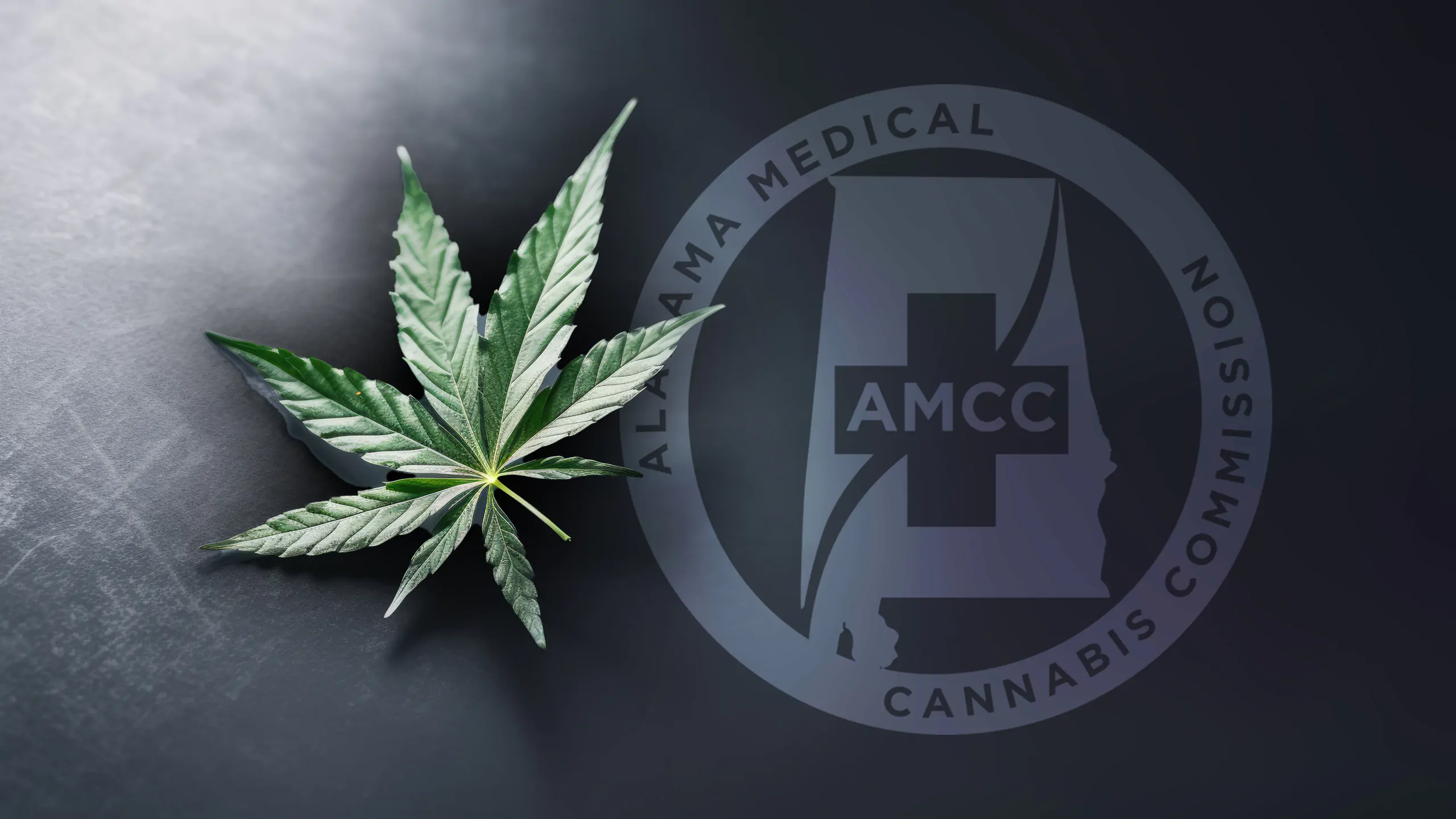 More taxpayer money for lawyers as medical cannabis debacle rolls on