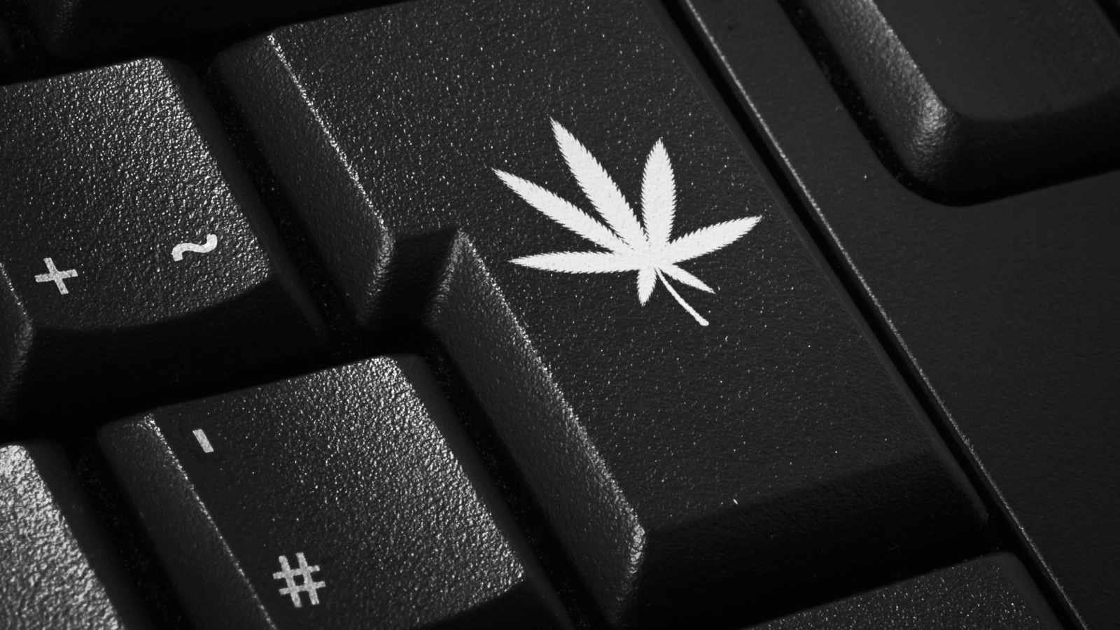 How Cannabis Companies Are Building Their Own Retail Solutions