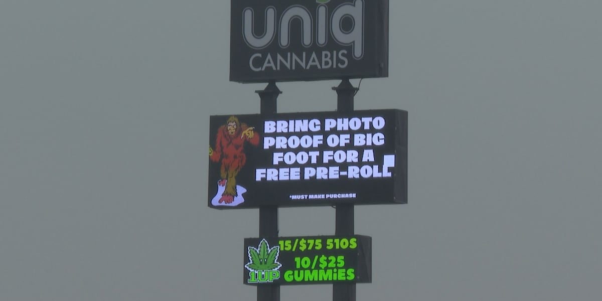 Reported Bigfoot sighting prompts cannabis dispensary to offer discount for photographic proof