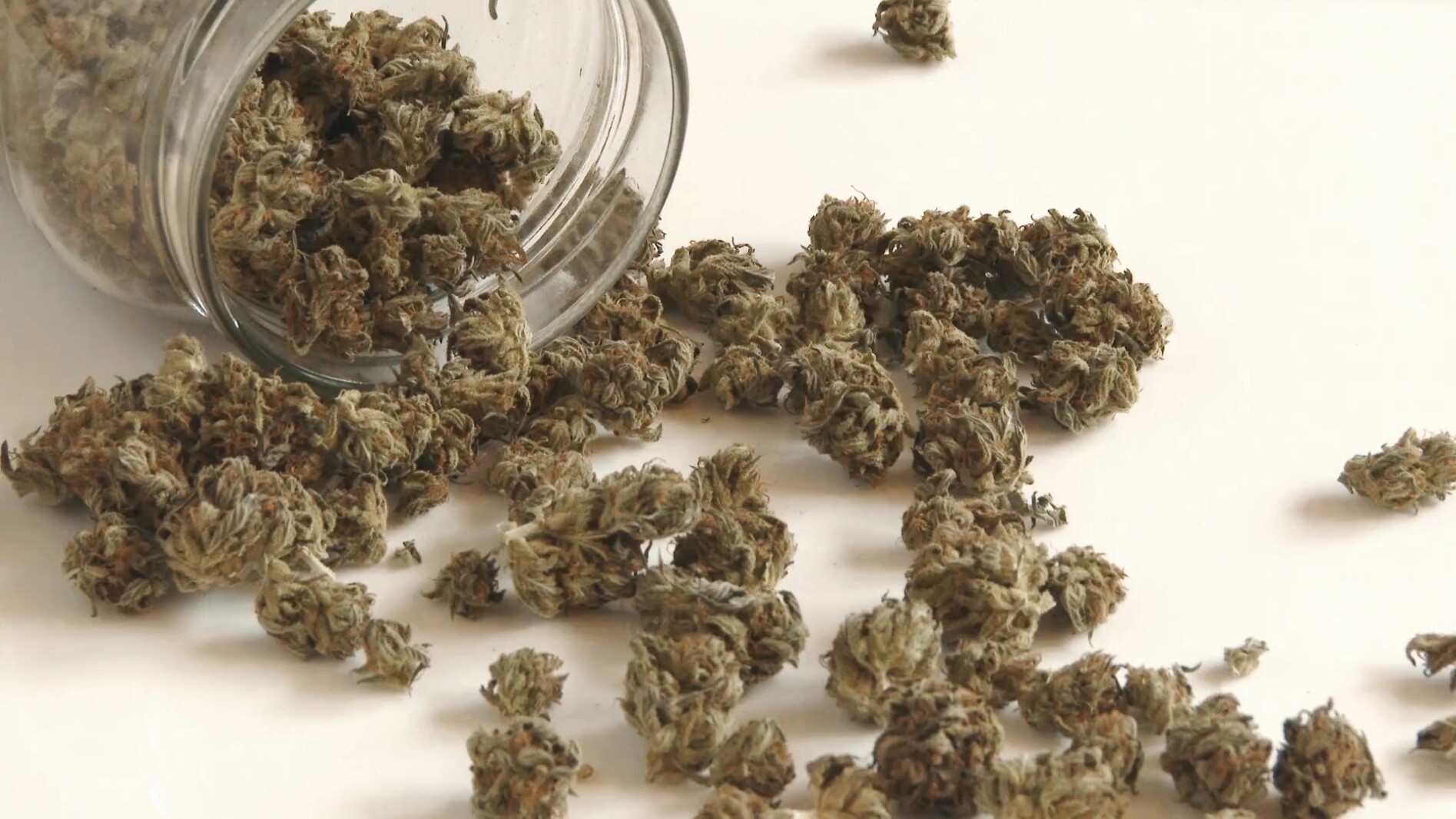 249 winners selected in Minnesota’s cannabis business license lottery - InForum