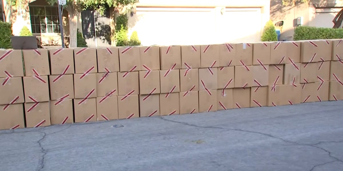 Large Las Vegas drug bust scratches the surface of the massive illegal market, cannabis expert says