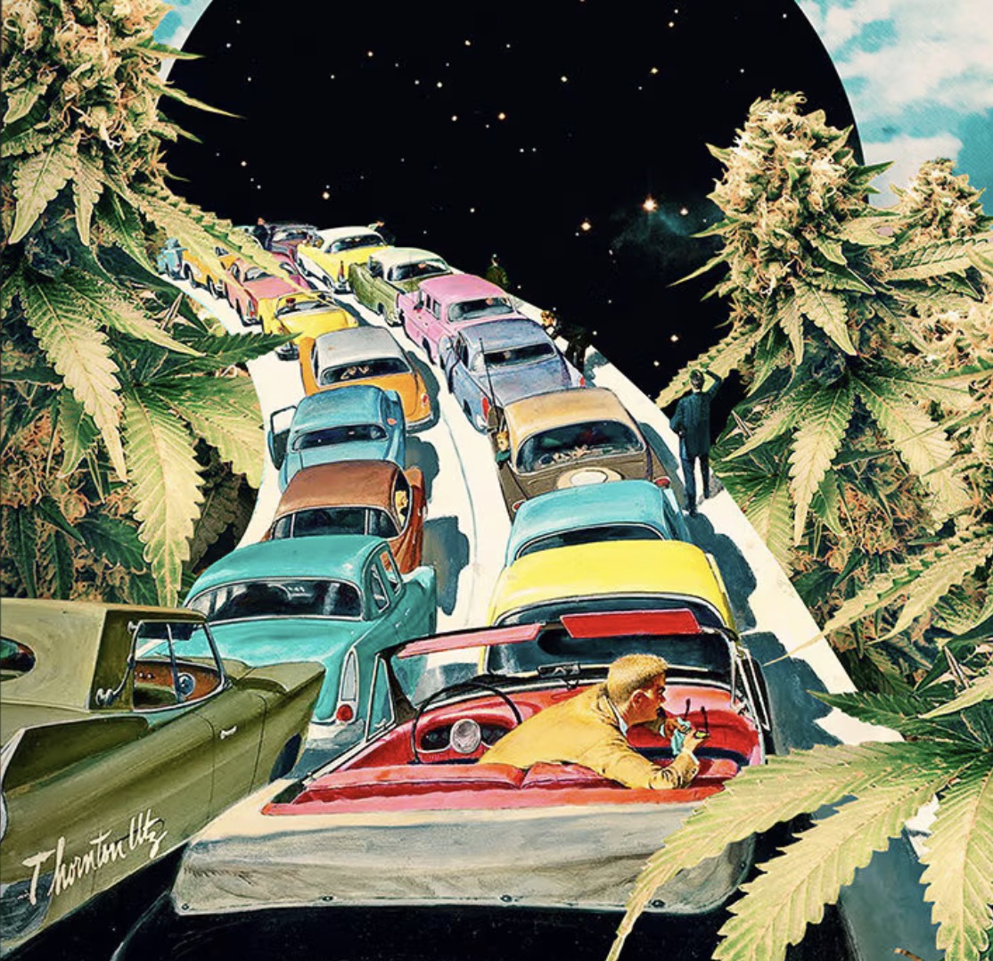 Looking for the Strongest Weed in New York? Silly Nice Delivers at 100+ NY Dispensaries | stupidDOPE
