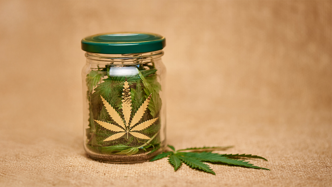 North Beach Passes Emergency Ordinance To Limit Public Cannabis Use