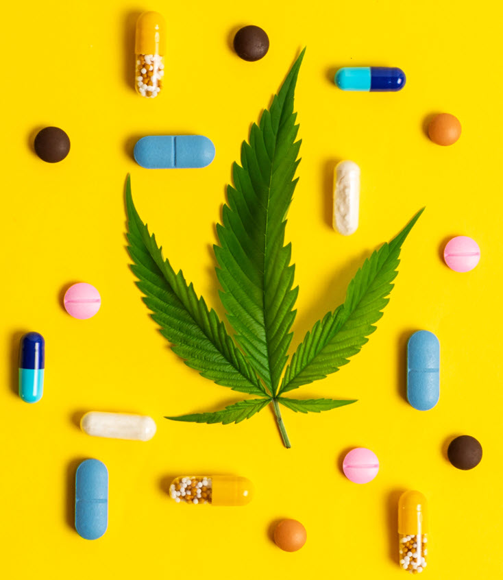The Trillion-Dollar Question: Why Big Pharma&#039;s Monopoly Fights to Keep Cannabis Illegal?