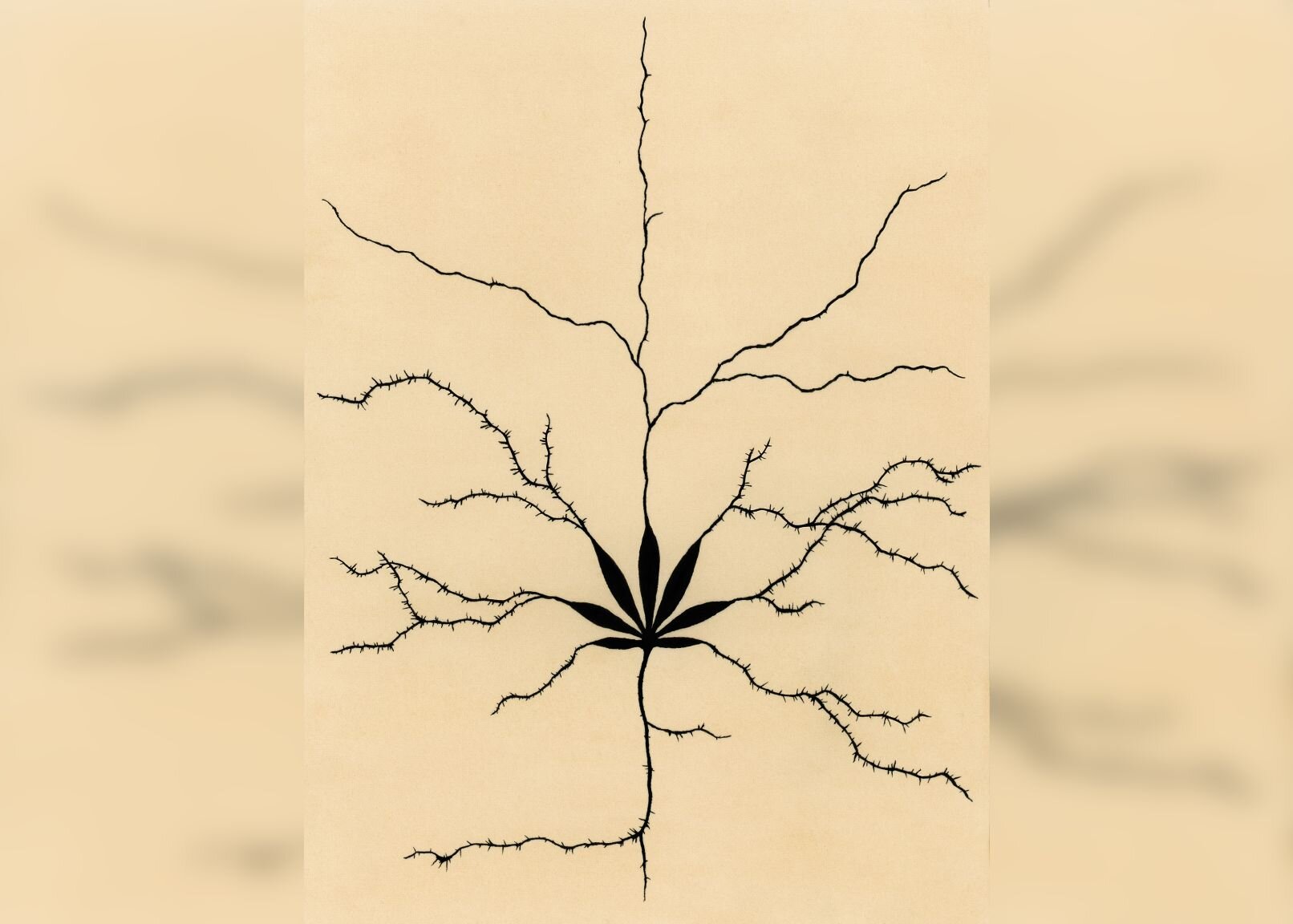 Cannabis use disorder may increase risk for certain psychiatric illnesses