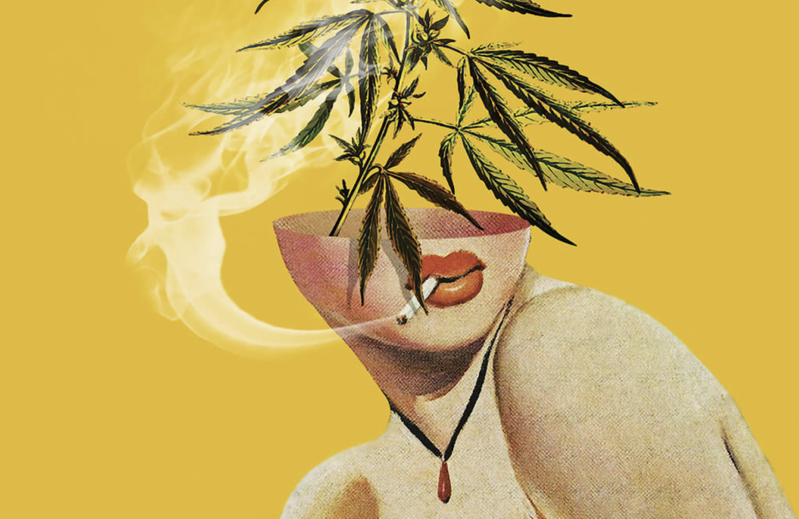 Just Breathe Fingerlakes: Award-Winning Dispensary Blending Community, Culture, and Cannabis | stupidDOPE