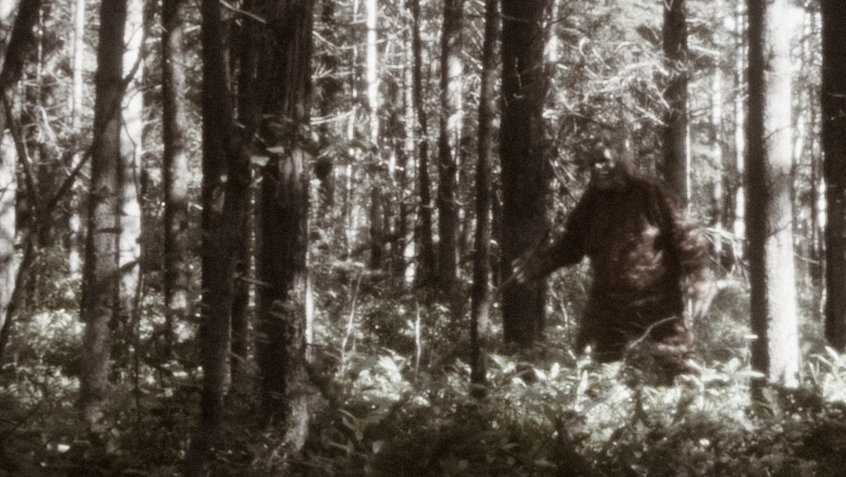 Michigan Cannabis Dispensary Offers Discount For Photographic Proof Of Bigfoot