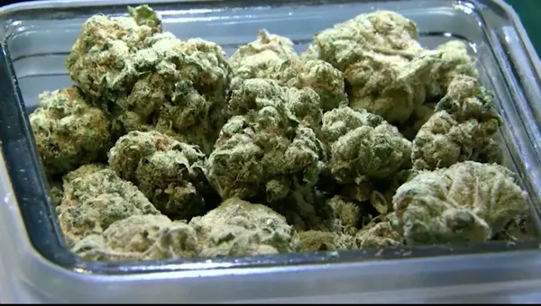 NY's Office of Cannabis Management recalls multiple marijuana products