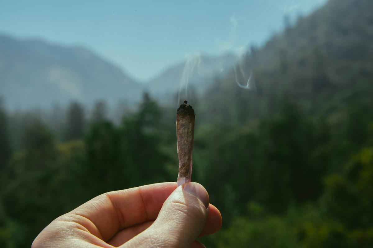 New York Issues Cannabis Recall Due to Unsafe Pesticides