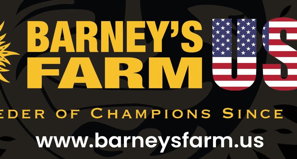Barney's Farm Partners With Backpackboyz on Groundbreaking Cannabis Genetics Project