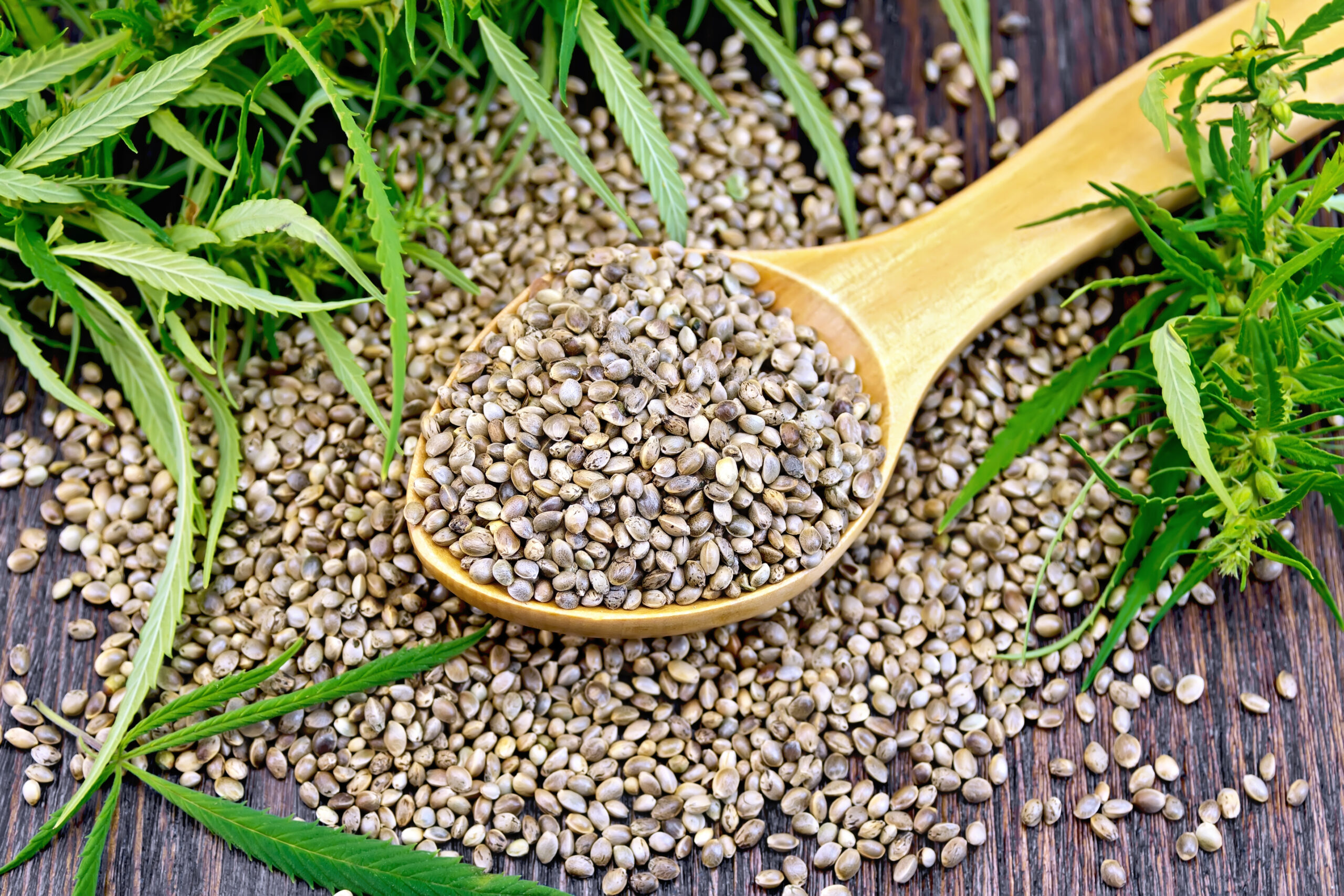 40 States Are Cracking Down on Hemp. Here's Why