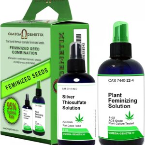 cannabis seeds