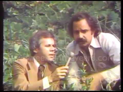 Cheech & Chong Interview 1978-Fred Saxon [Reelin' In The Years Archives]