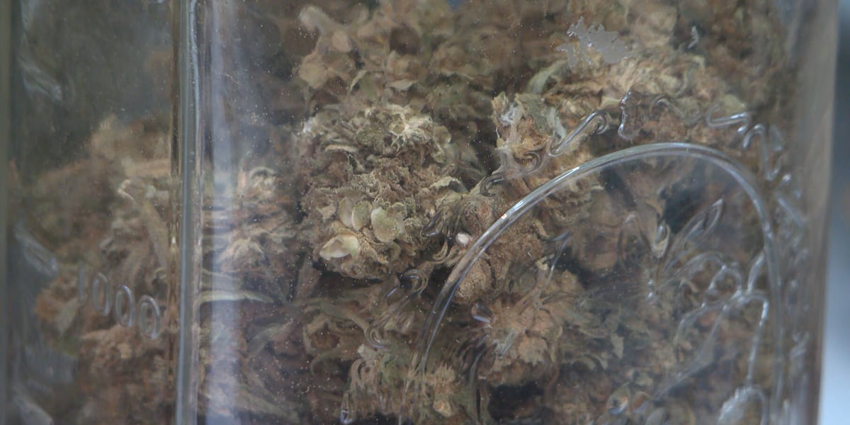 Health officials urge safe cannabis storage as child exposures rise