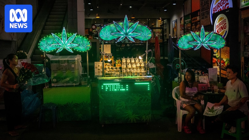 Thailand, the first country in Asia to legalise cannabis, is re-criminalising recreational sales