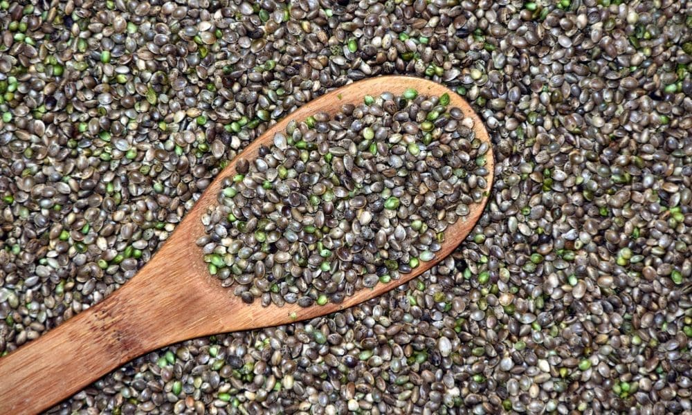 Cannabis Seeds Launched To Orbit By SpaceX Crash Into Sea, Setting Back Mission To Grow Marijuana On Mars