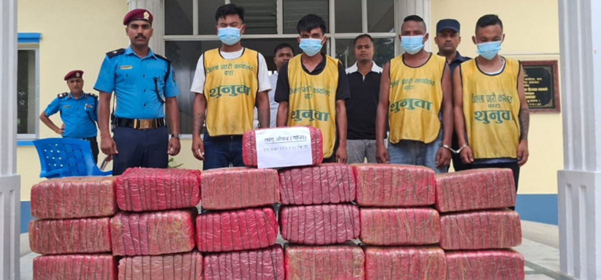 Four arrested with 212 Kg cannabis in Bara - myRepublica - The New York Times Partner, Latest news of Nepal in English, Latest News Articles