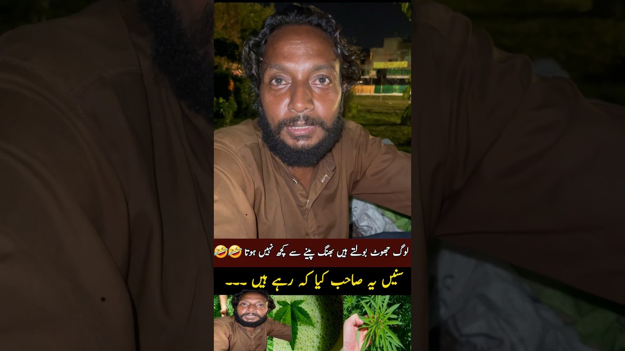 بھنگ پینے سے کچھ نہیں ہوتا🤣#marijuana #cannabis #بھنگ