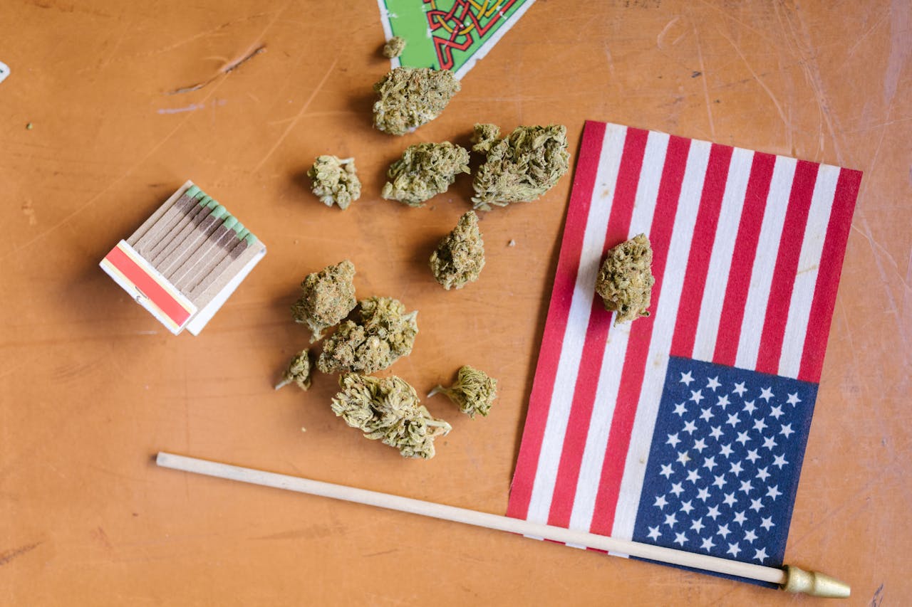 Dear President Trump: It’s Time to Federally Legalize Cannabis This 4th of July