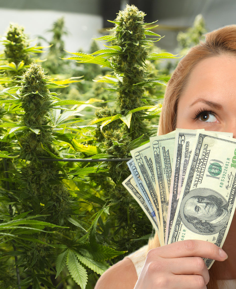 The One Big Beautiful Bill Act and Cannabis - How Will New Tariffs Effect the Weed Industry?