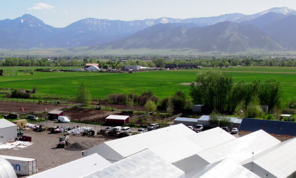 The Montana Green Pages: The Best Dispensaries in Montana