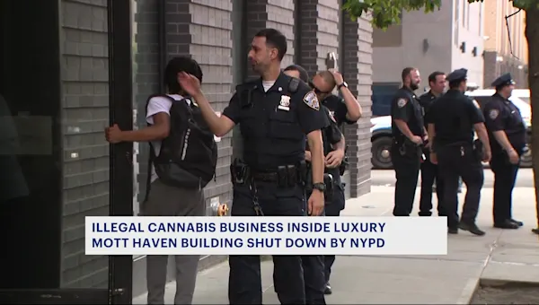 NYPD busts illegal cannabis business inside luxury Mott Haven apartment building