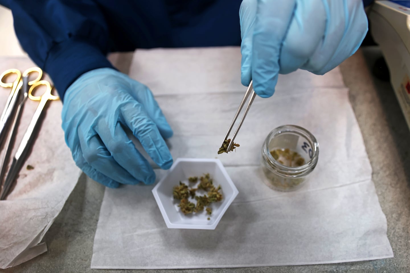 The Cannabis Control Commission is cracking down on allegations of testing fraud that allows marijuana tainted with yeast, mold and other contaminants to be sold.