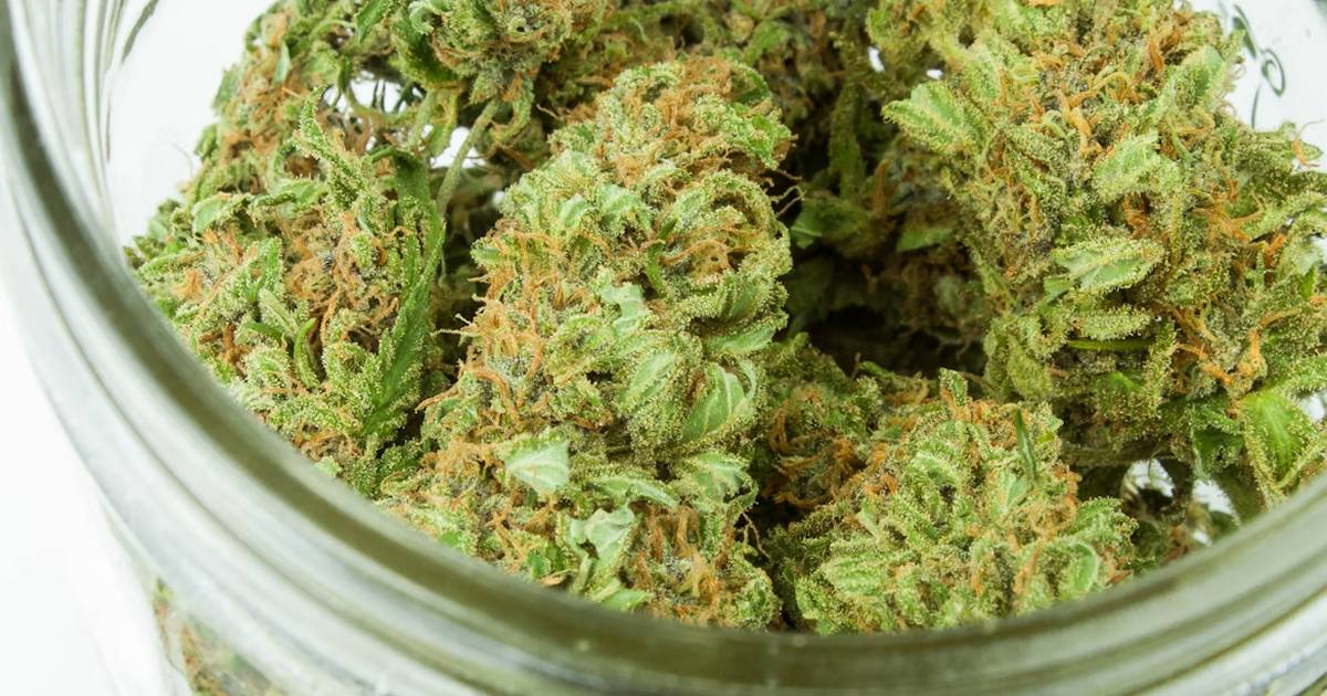 Nebraska Emergency Cannabis Rules Face Backlash
