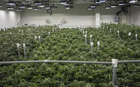 House-approved VA budget bill ends restrictions on doctors from discussing medical marijuana with veterans