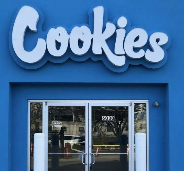 236 employees to be laid off as cannabis company plans to close 20 Michigan dispensaries | WKZO | Everything Kalamazoo