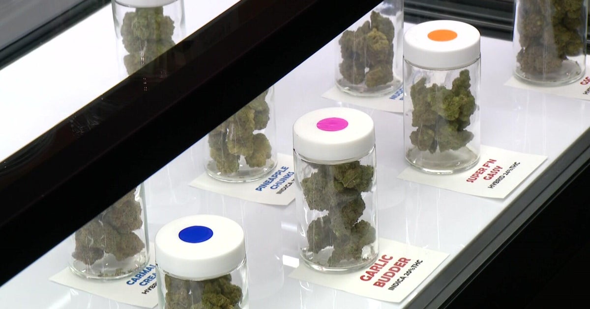 Southern Minnesota business hopes to be among first retail cannabis dispensaries in the state as market begins to scale up