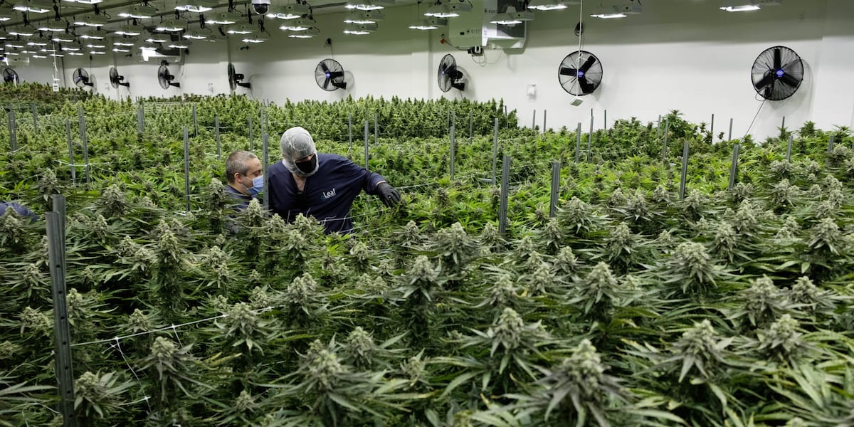 Joint cannabis commission holds first meeting amid push for regulated market
