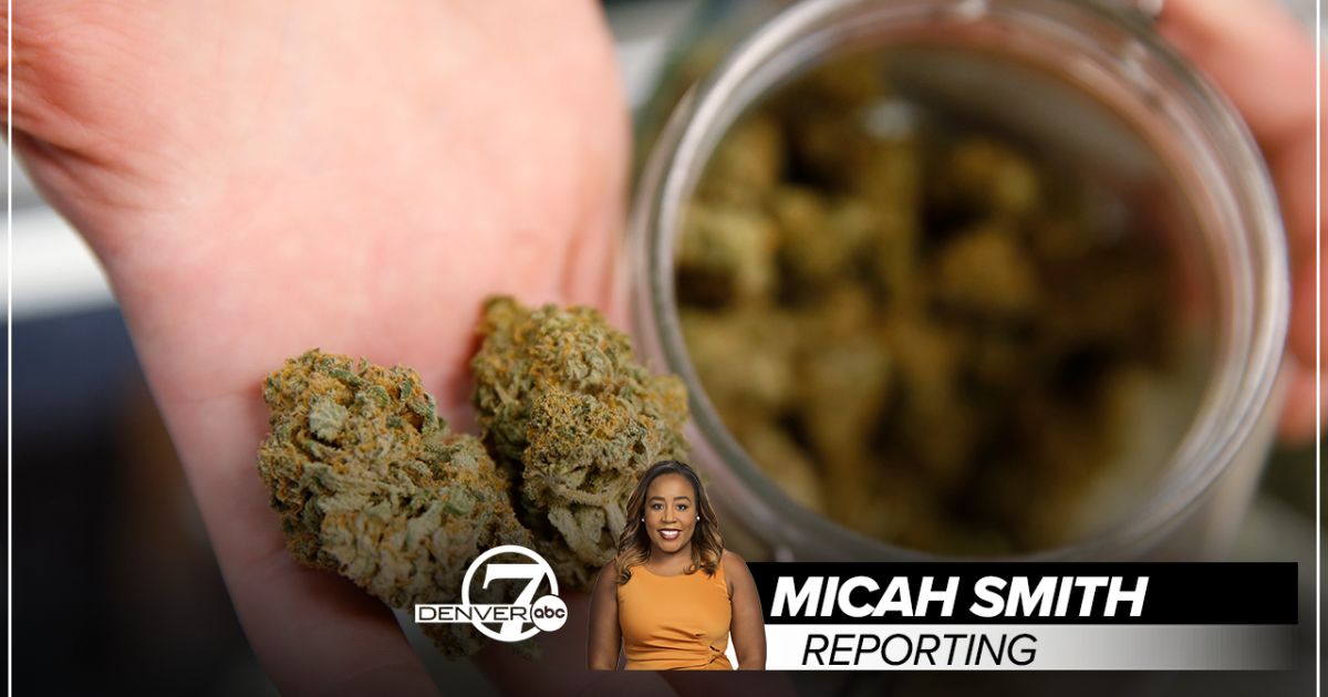 New CU study finds nearly half of cannabis flower products inaccurately labeled