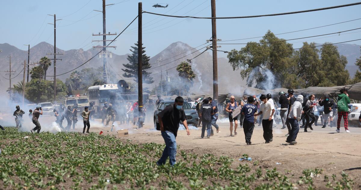 Chaotic ICE raid at cannabis farm: About 200 arrested, one farmworker dies in fall