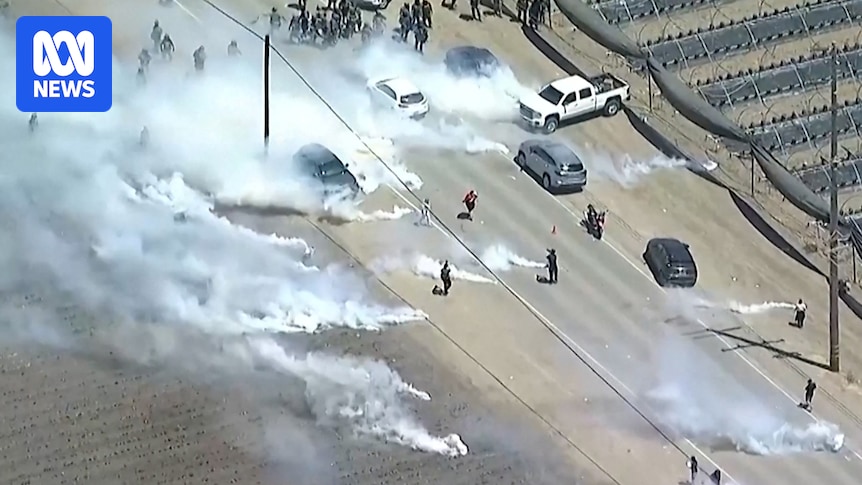 California worker dead and hundreds arrested after cannabis farm raid