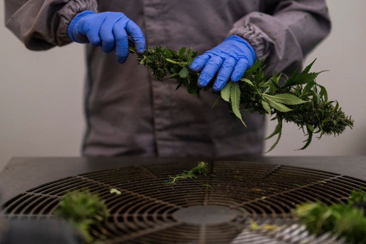 BrewDog co-founder plans cannabis market dominance in new venture