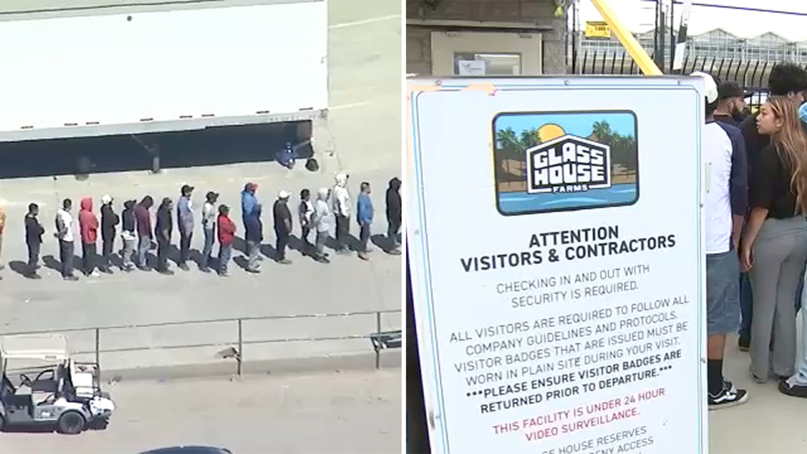 Over 300 arrested during immigration raids at Glass House cannabis farms near Camarillo and Carpinteria, DHS says