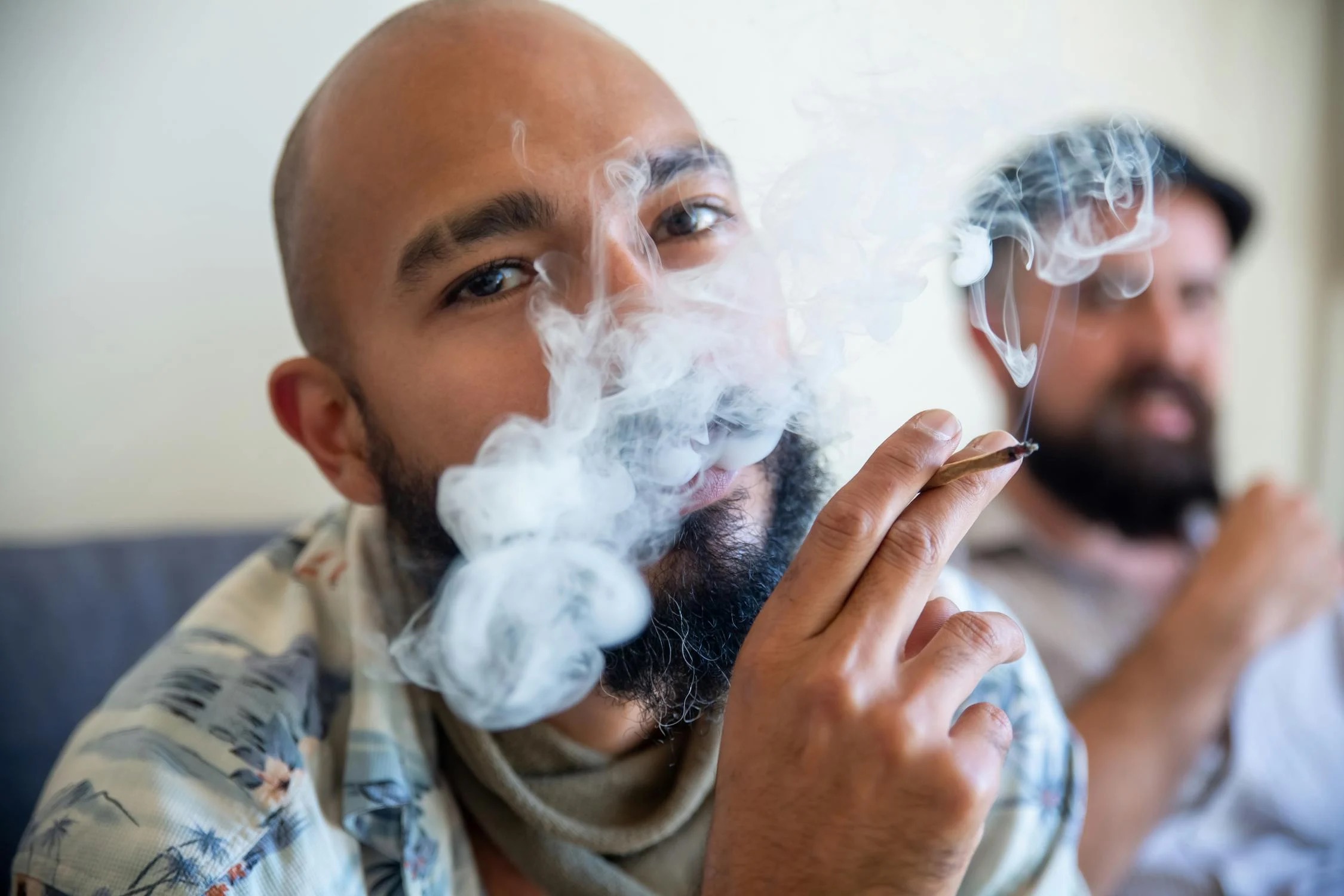 Silly Nice: New York's Veteran-Owned Weed Brand Elevating Cannabis Culture One Hit at a Time | stupidDOPE