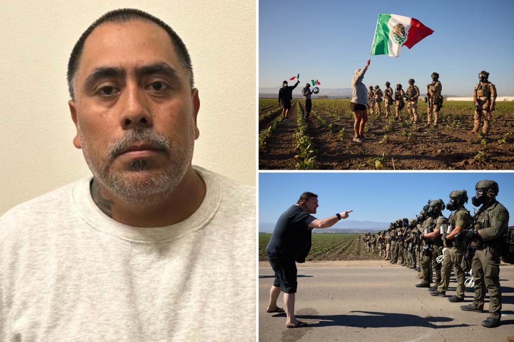 Child predator among more than 300 arrested during ICE raid on cannabis farm