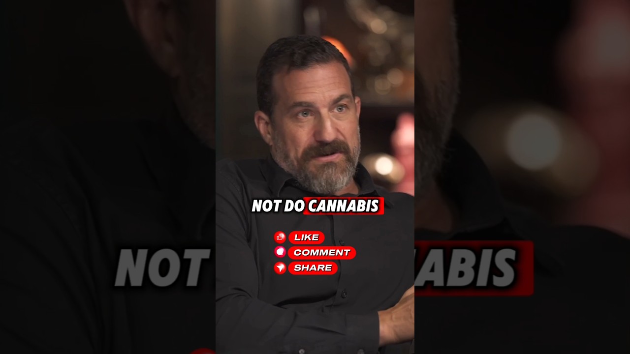 The Dangers of Cannabis | Shawn Ryan Show #shawnryanshow #podcast #shorts